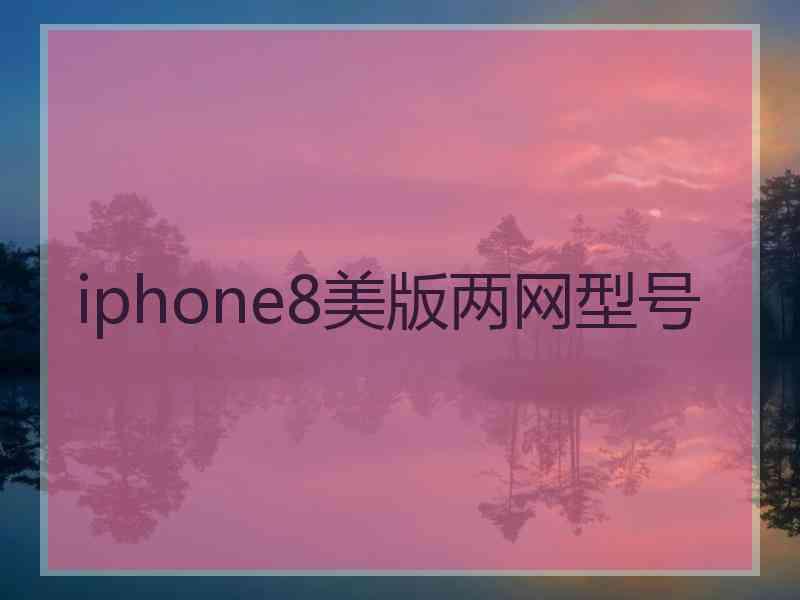 iphone8美版两网型号