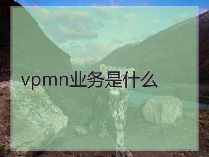 vpmn业务是什么