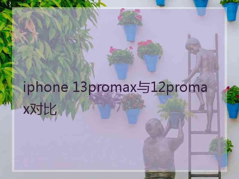 iphone 13promax与12promax对比