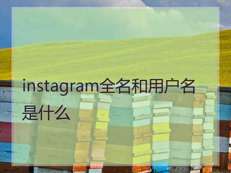 instagram全名和用户名是什么