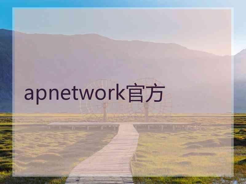 apnetwork官方