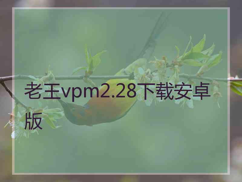 老王vpm2.28下载安卓版