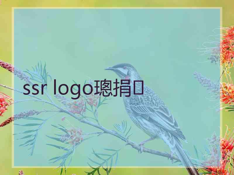 ssr logo璁捐