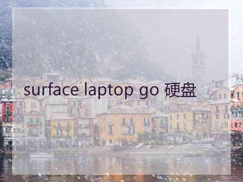 surface laptop go 硬盘