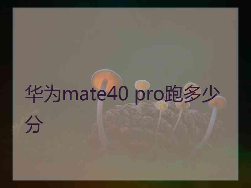 华为mate40 pro跑多少分