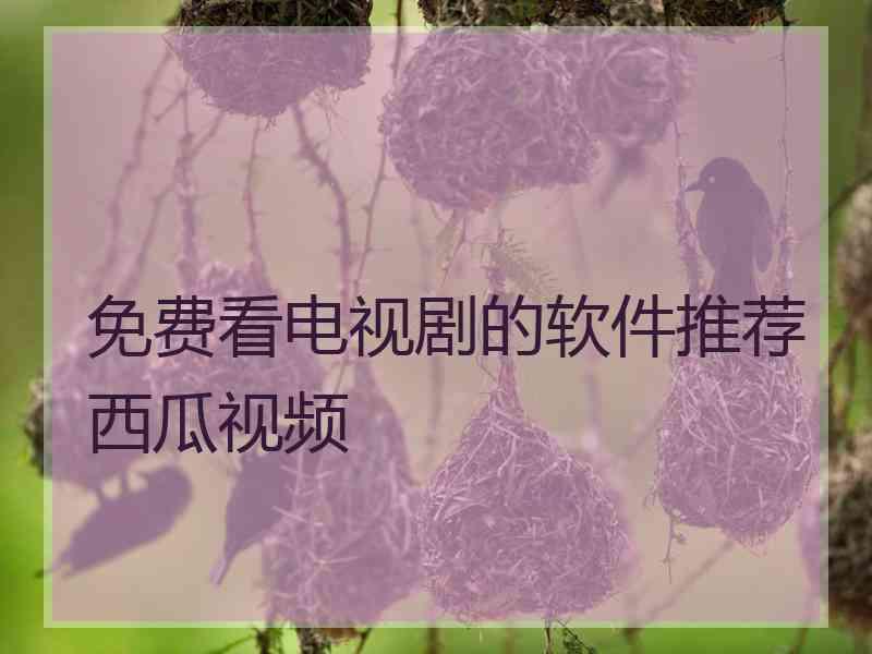 免费看电视剧的软件推荐西瓜视频