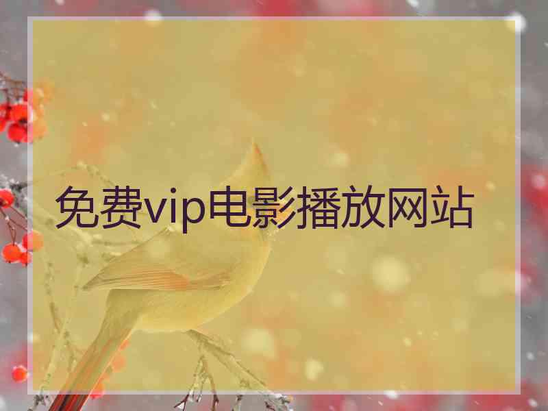 免费vip电影播放网站