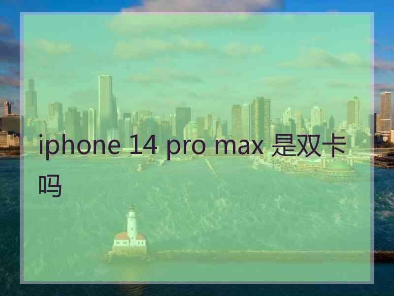 iphone 14 pro max 是双卡吗