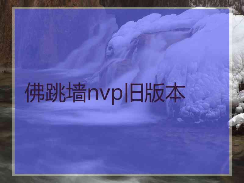 佛跳墙nvp旧版本