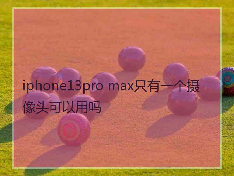 iphone13pro max只有一个摄像头可以用吗