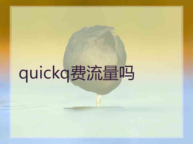 quickq费流量吗