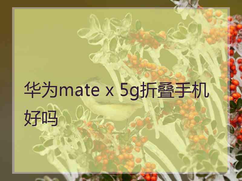 华为mate x 5g折叠手机好吗