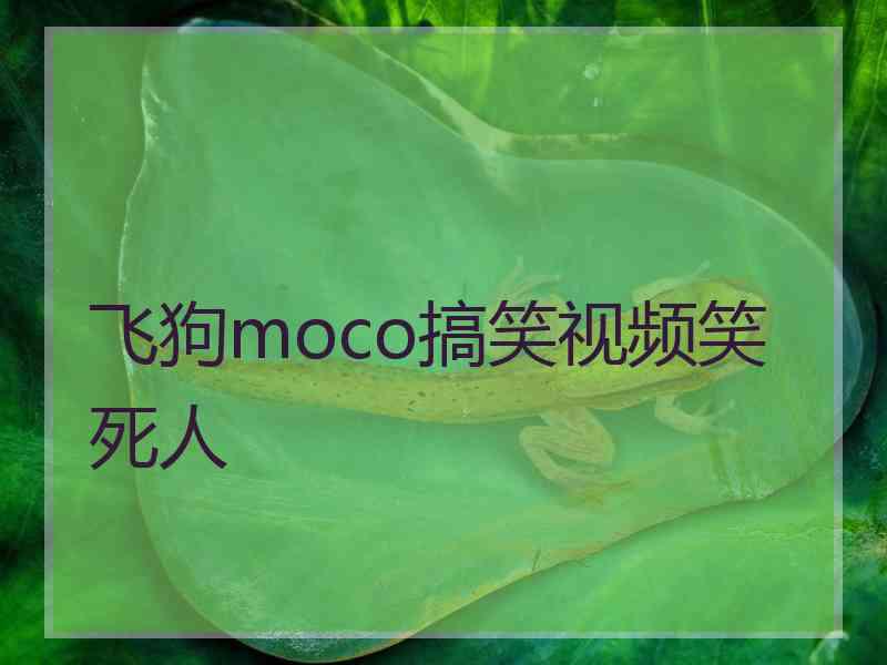 飞狗moco搞笑视频笑死人