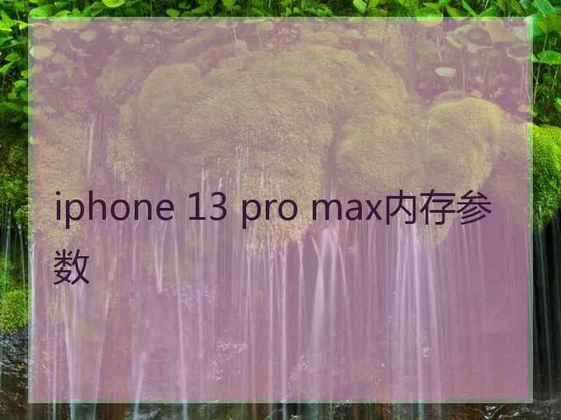 iphone 13 pro max内存参数