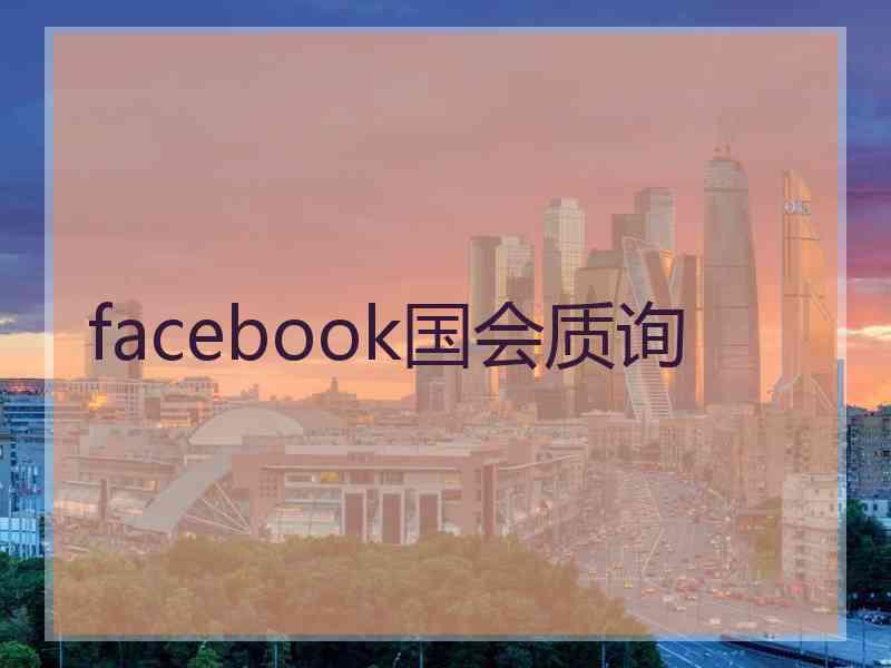 facebook国会质询