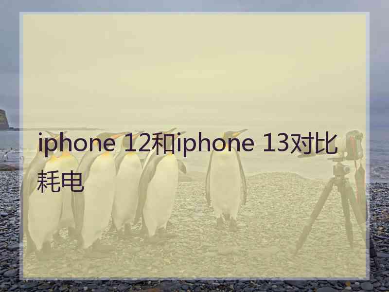 iphone 12和iphone 13对比耗电