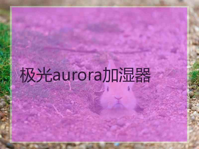 极光aurora加湿器