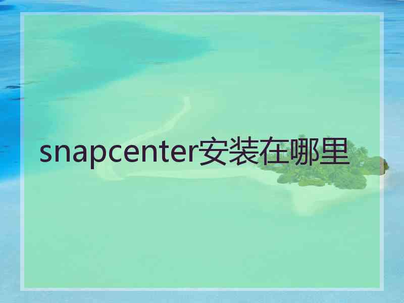 snapcenter安装在哪里