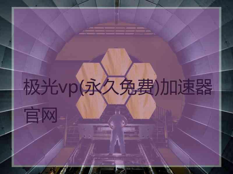 极光vp(永久免费)加速器官网