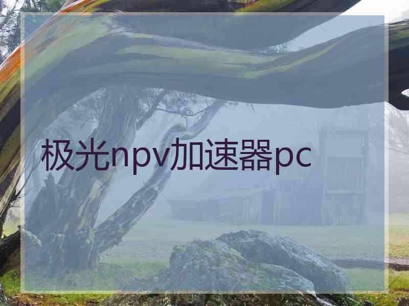 极光npv加速器pc