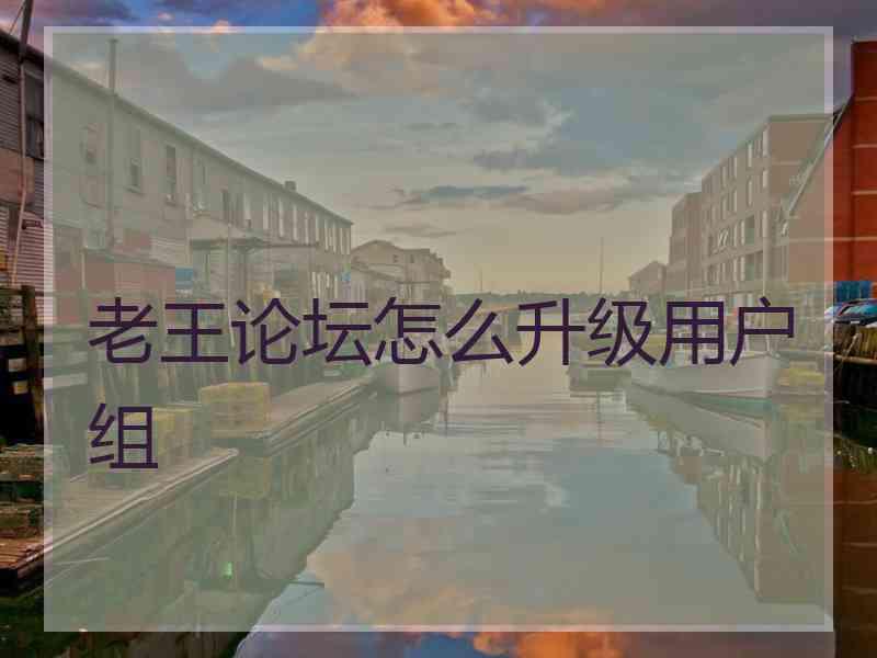 老王论坛怎么升级用户组