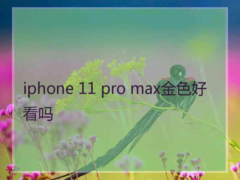 iphone 11 pro max金色好看吗