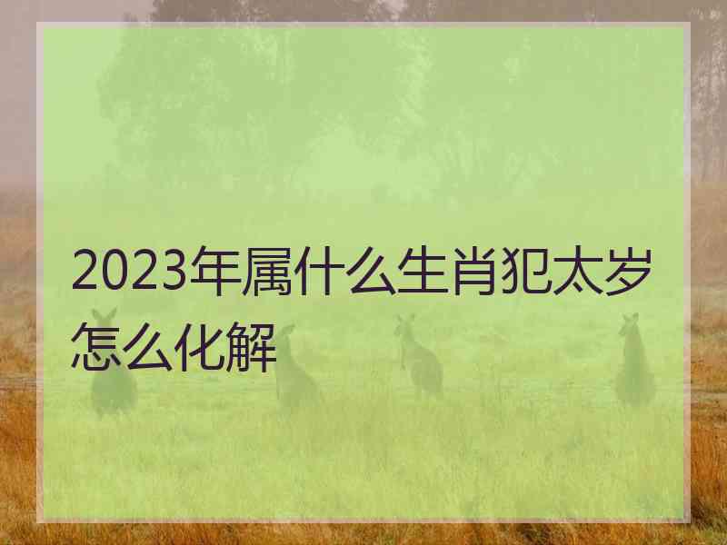 2023年属什么生肖犯太岁怎么化解