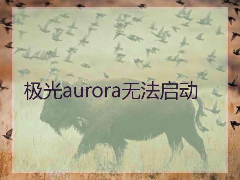 极光aurora无法启动