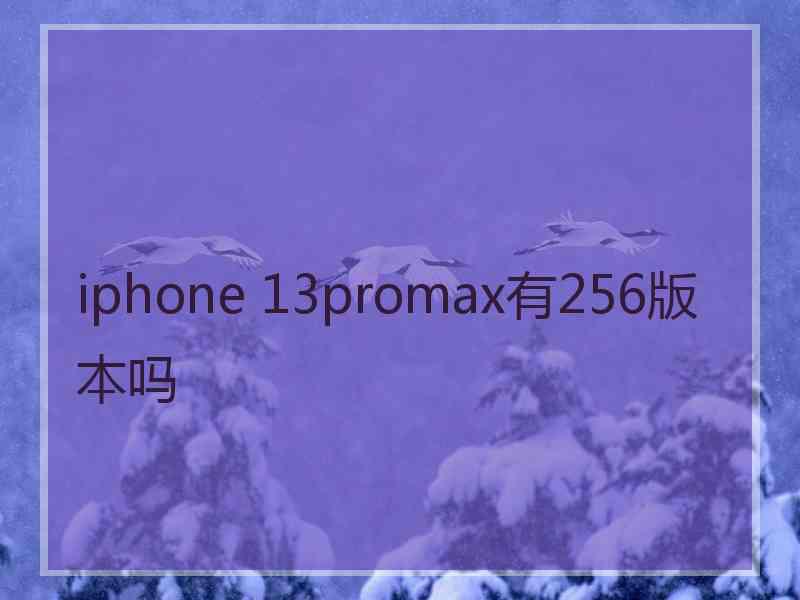 iphone 13promax有256版本吗