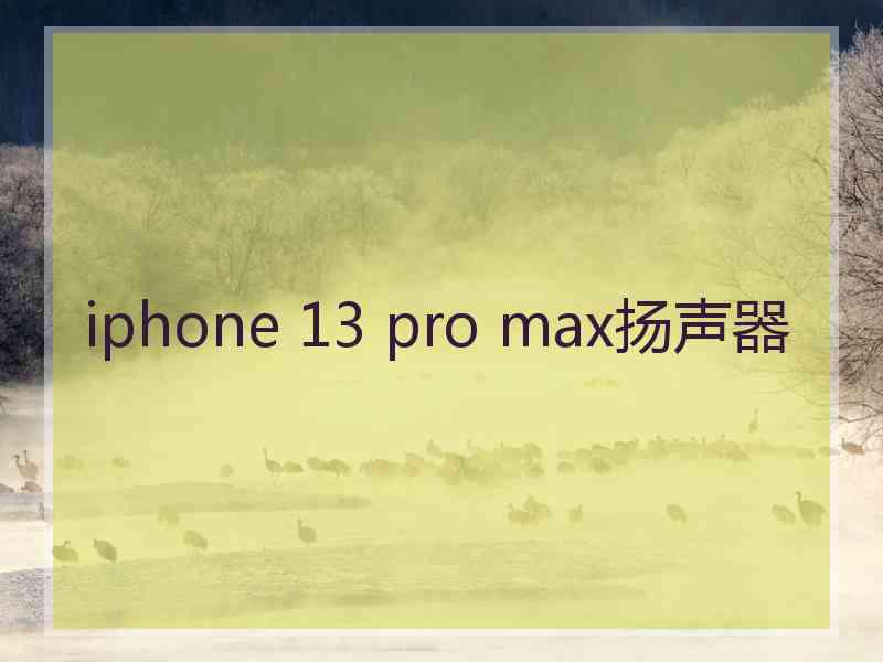 iphone 13 pro max扬声器