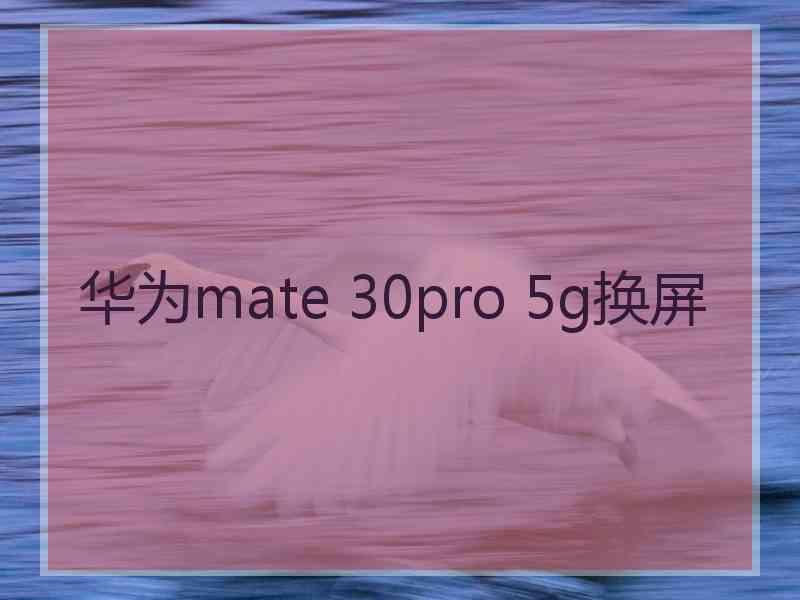 华为mate 30pro 5g换屏