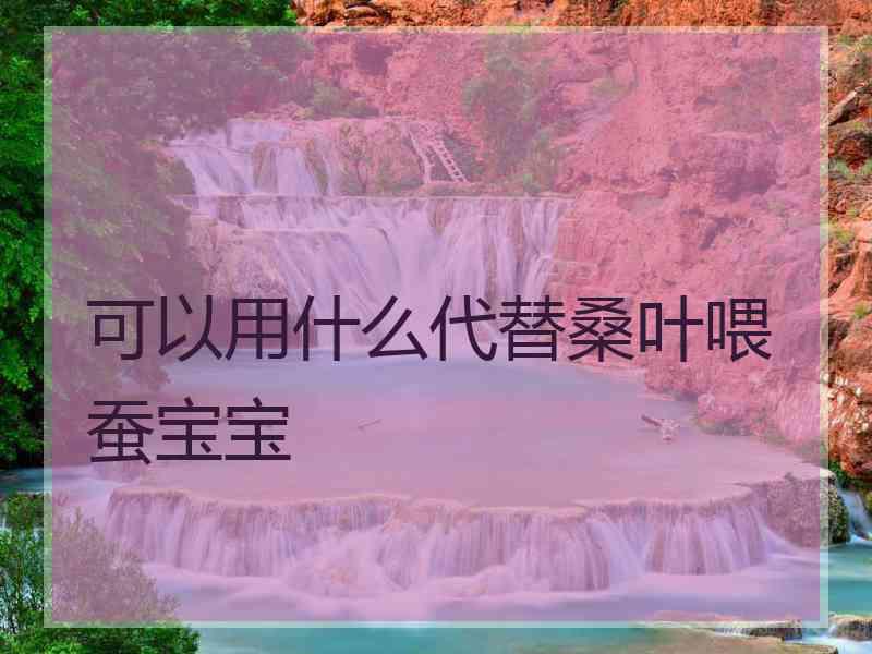 可以用什么代替桑叶喂蚕宝宝