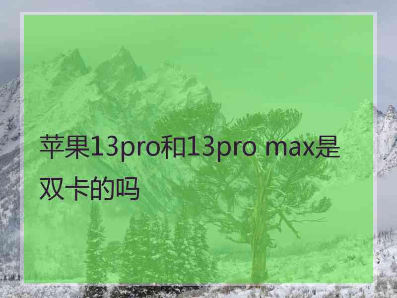 苹果13pro和13pro max是双卡的吗