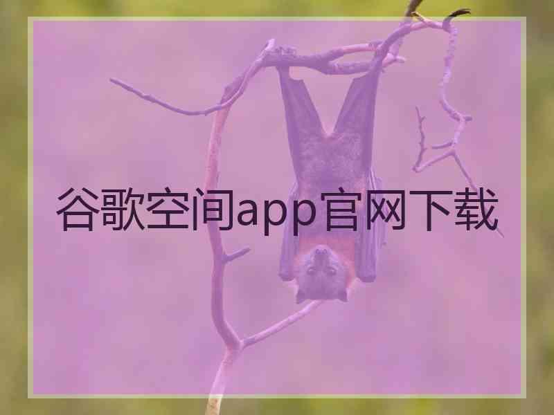 谷歌空间app官网下载