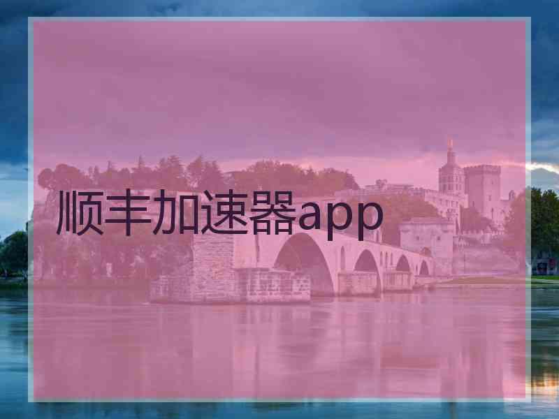 顺丰加速器app