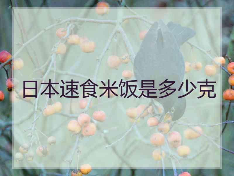 日本速食米饭是多少克