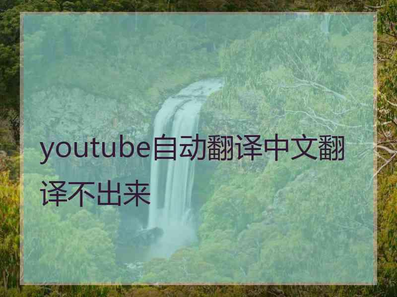 youtube自动翻译中文翻译不出来