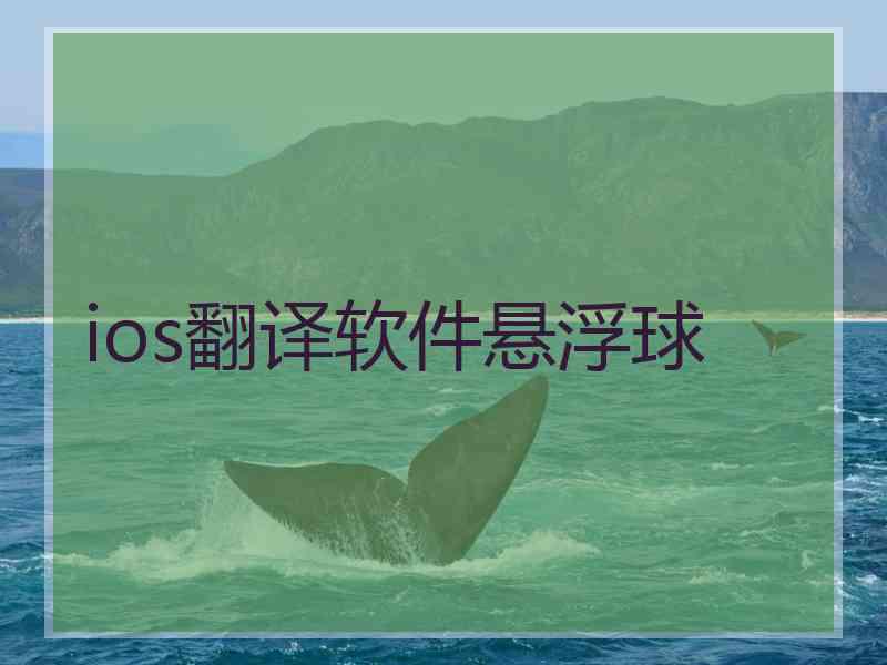 ios翻译软件悬浮球