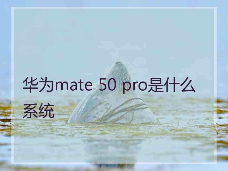 华为mate 50 pro是什么系统