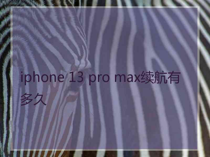 iphone 13 pro max续航有多久