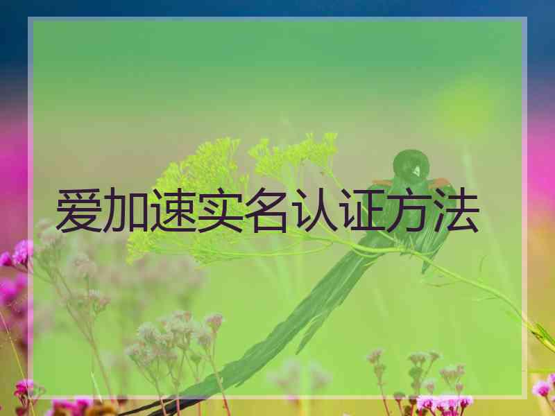 爱加速实名认证方法