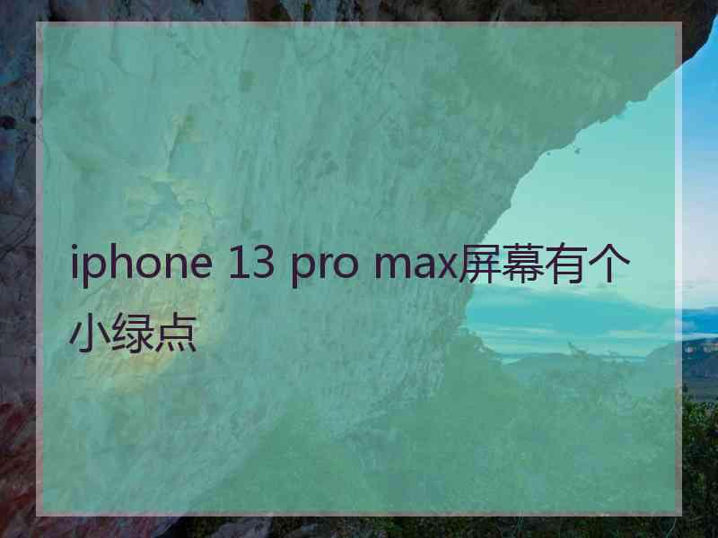 iphone 13 pro max屏幕有个小绿点