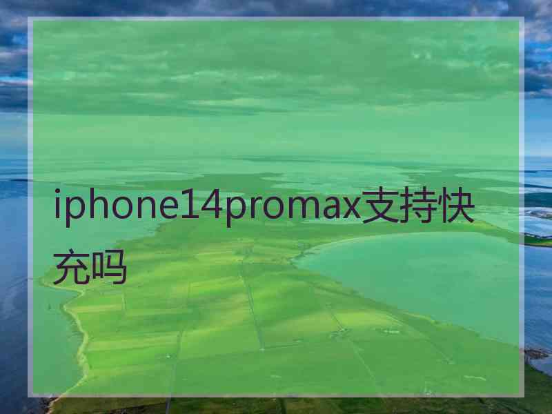 iphone14promax支持快充吗