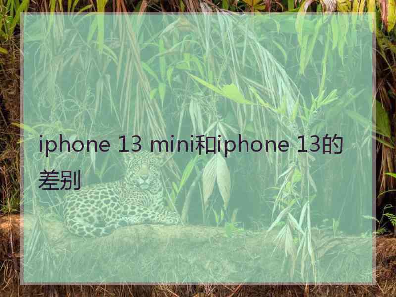 iphone 13 mini和iphone 13的差别