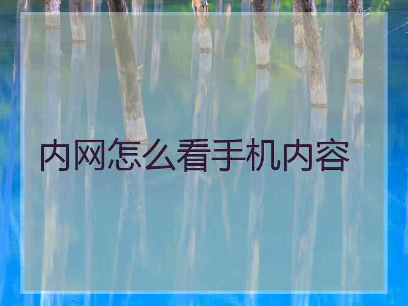 内网怎么看手机内容