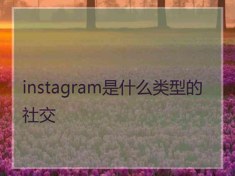 instagram是什么类型的社交