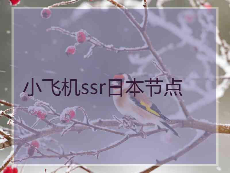 小飞机ssr日本节点