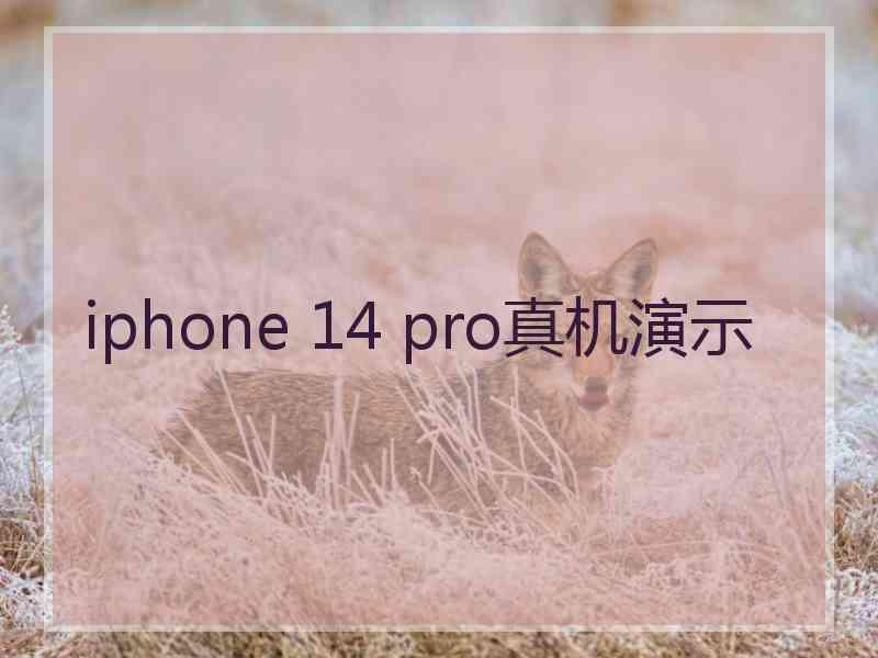 iphone 14 pro真机演示