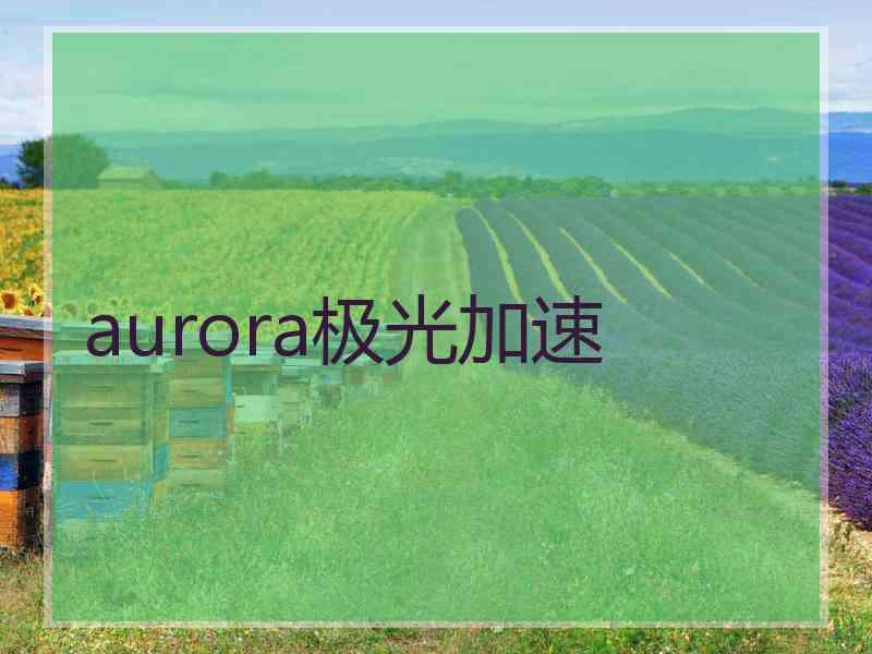 aurora极光加速