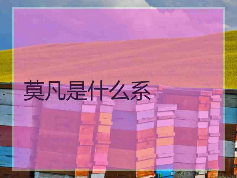 莫凡是什么系